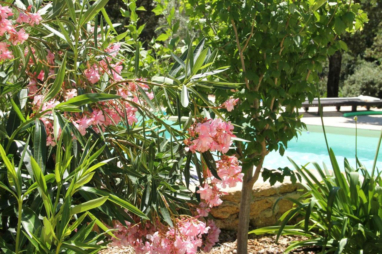 L'Atelier Bed & Breakfast Saint-Maximin  Ngoại thất bức ảnh